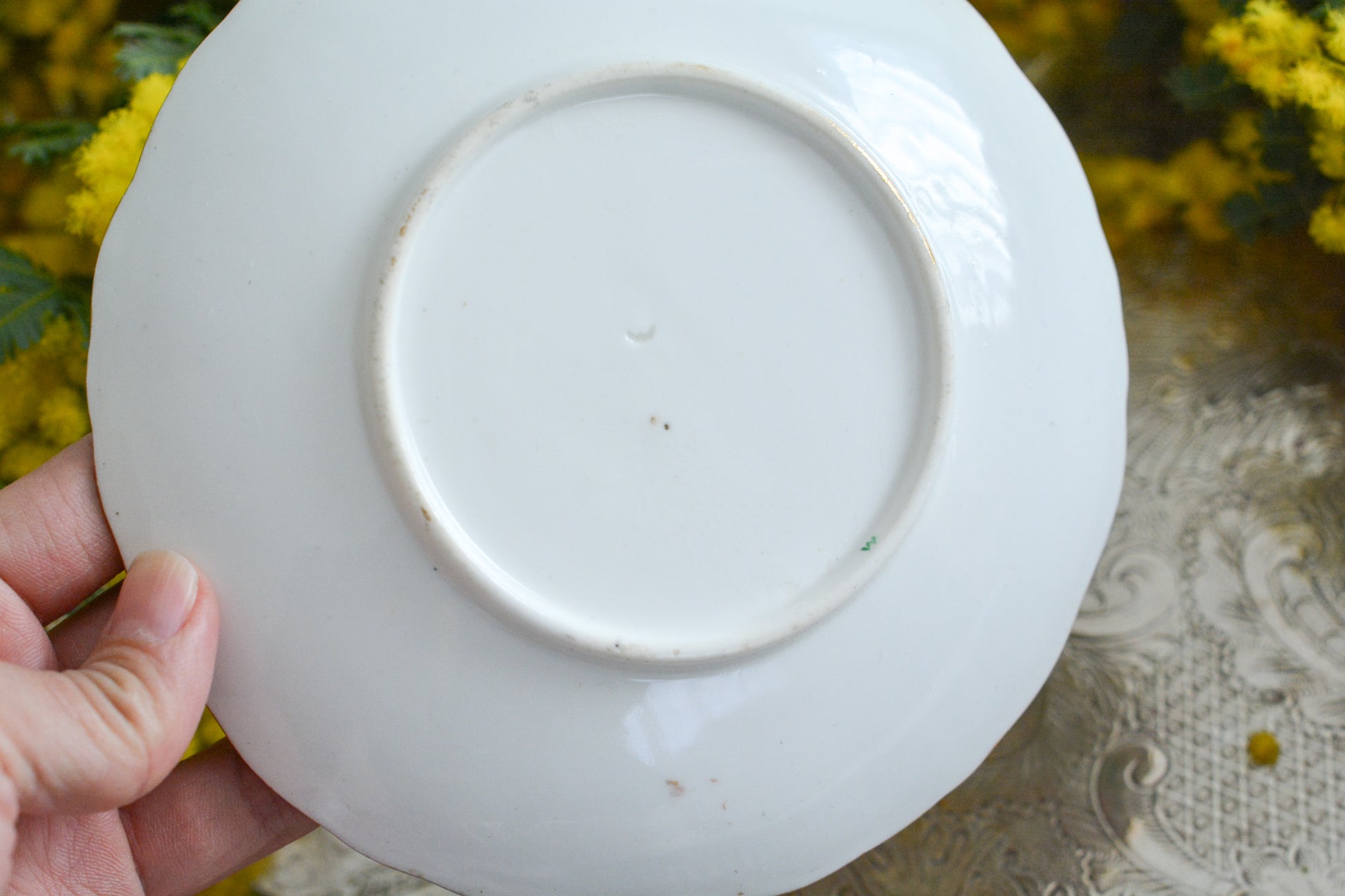 コールポートのロココリバイバル作品の人気のシェイプ、アデレードシェイプ。いろいろなデザインが作られていていますが、こちらのデザインは初めて見ました。ハンドペイントで描かれたお花は野ばらでしょうか?とても華やかなお品です。こちらは元々ティーカップとコーヒーカップ、ソーサーのセットだったと思われますが、コーヒーカップとソーサーのセットになっています。美しいお花がたくさん咲いたような美しいカップと共に春のティータイムをお楽しみください。