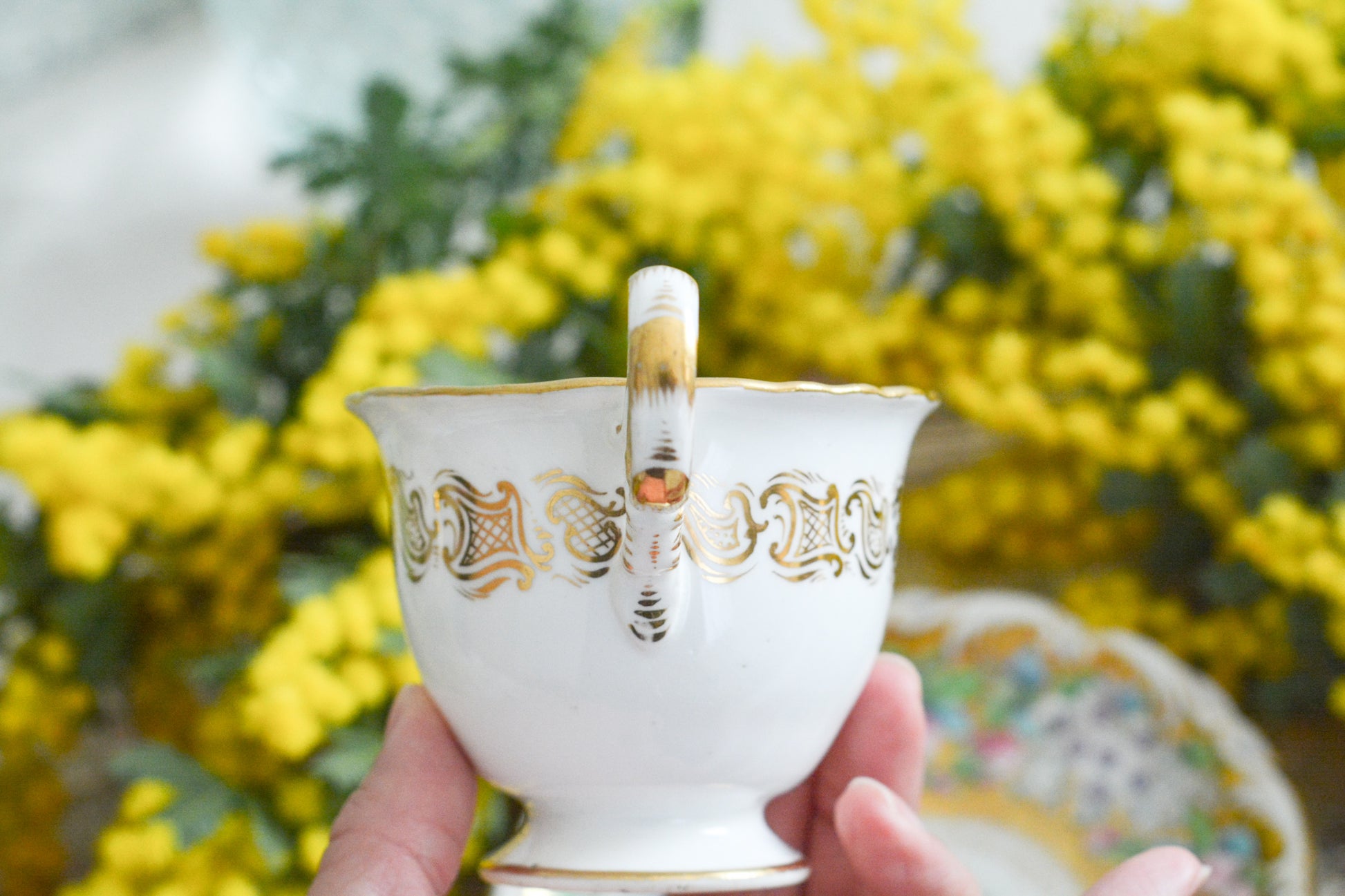 コールポートのロココリバイバル作品の人気のシェイプ、アデレードシェイプ。いろいろなデザインが作られていていますが、こちらのデザインは初めて見ました。ハンドペイントで描かれたお花は野ばらでしょうか?とても華やかなお品です。こちらは元々ティーカップとコーヒーカップ、ソーサーのセットだったと思われますが、コーヒーカップとソーサーのセットになっています。美しいお花がたくさん咲いたような美しいカップと共に春のティータイムをお楽しみください。