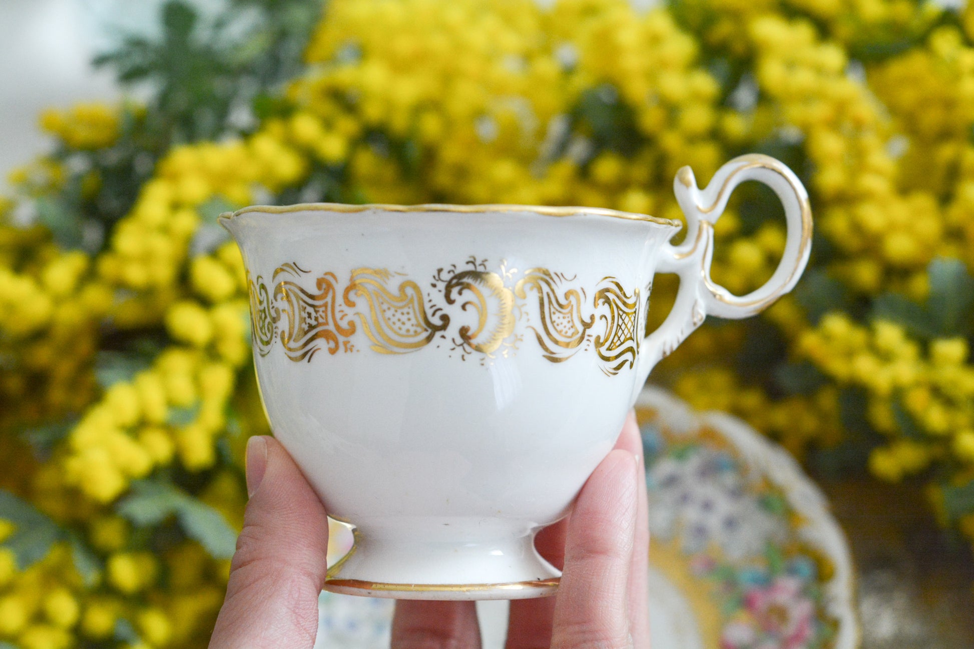 コールポートのロココリバイバル作品の人気のシェイプ、アデレードシェイプ。いろいろなデザインが作られていていますが、こちらのデザインは初めて見ました。ハンドペイントで描かれたお花は野ばらでしょうか?とても華やかなお品です。こちらは元々ティーカップとコーヒーカップ、ソーサーのセットだったと思われますが、コーヒーカップとソーサーのセットになっています。美しいお花がたくさん咲いたような美しいカップと共に春のティータイムをお楽しみください。