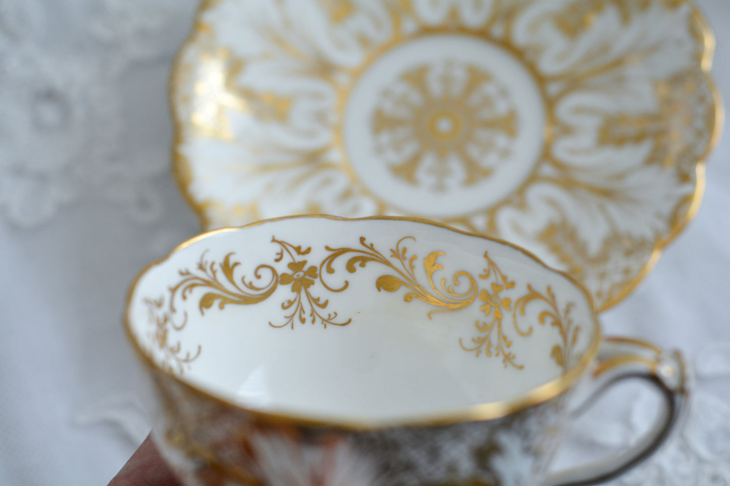 コウルドン フォリエージシェイプの小さな美しいデュオ