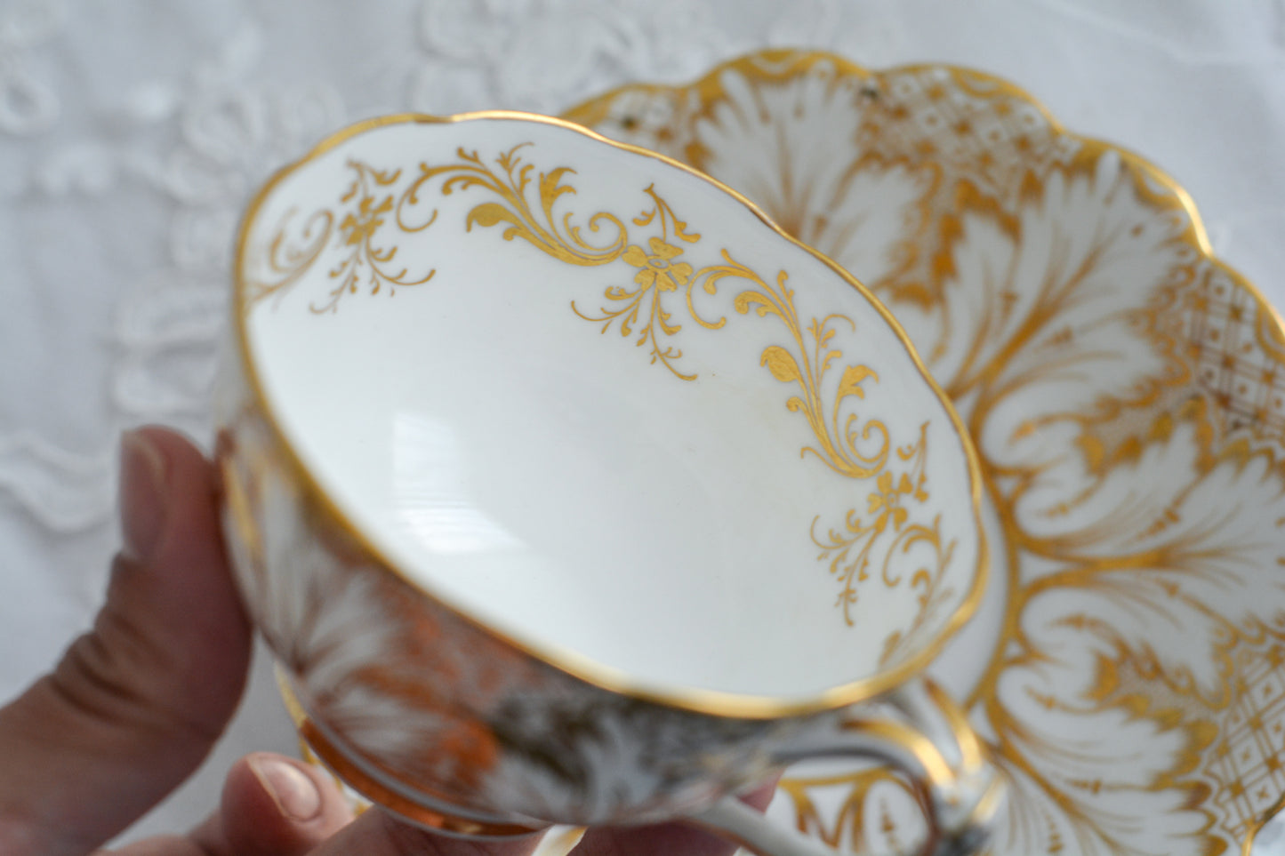 コウルドン フォリエージシェイプの小さな美しいデュオ