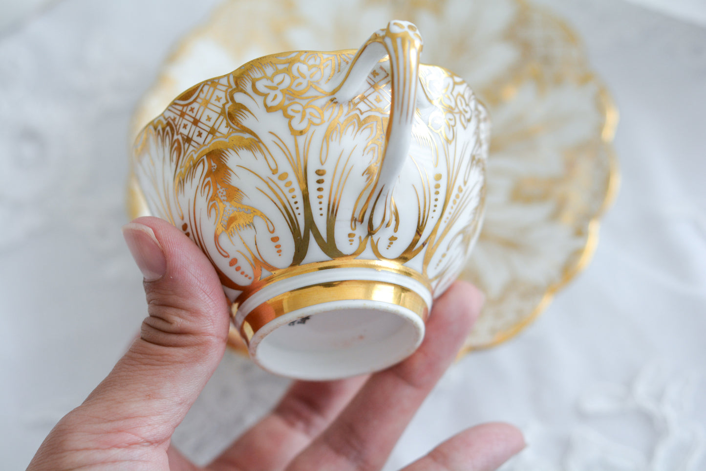 コウルドン フォリエージシェイプの小さな美しいデュオ