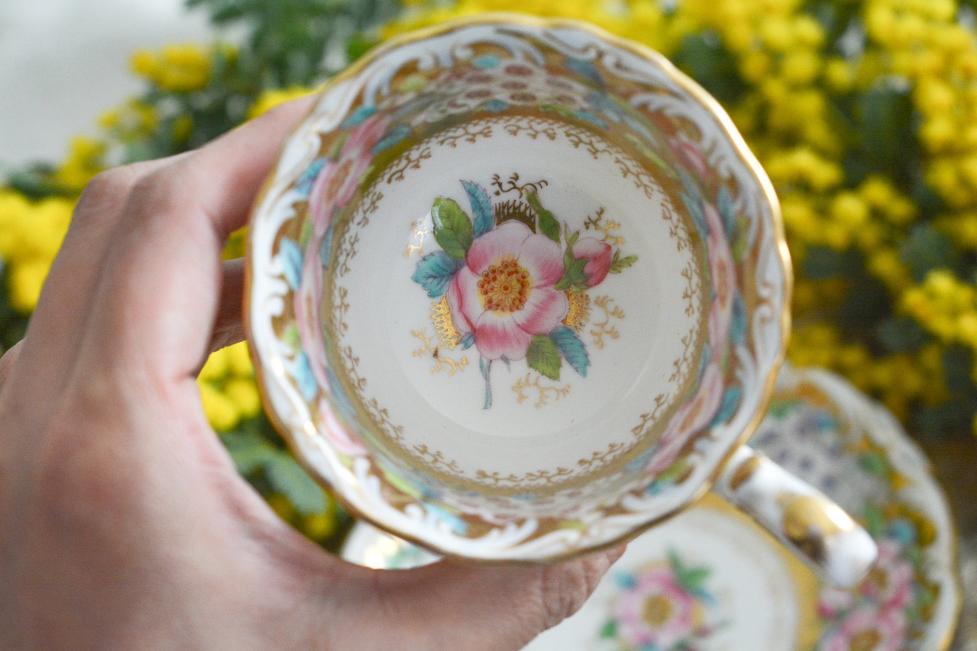 コールポートのロココリバイバル作品の人気のシェイプ、アデレードシェイプ。いろいろなデザインが作られていていますが、こちらのデザインは初めて見ました。ハンドペイントで描かれたお花は野ばらでしょうか?とても華やかなお品です。こちらは元々ティーカップとコーヒーカップ、ソーサーのセットだったと思われますが、コーヒーカップとソーサーのセットになっています。美しいお花がたくさん咲いたような美しいカップと共に春のティータイムをお楽しみください。