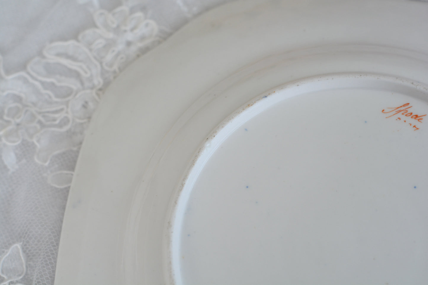 スポードのコバルトブルー地に豪華な金彩模様と手描きで描かれたブーケの模様が美しいプレートです。ちょっと珍しい形をしています。縁の縁飾りのような模様もとても素敵ですね。裏面にはバックスタンプではなく手描きでSpodeと記されています。とても豪華なプレートでキャビネットプレートとして飾ってもとても素敵だなと思います。