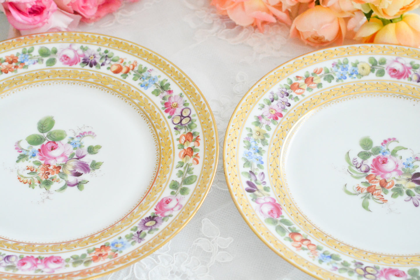 こちらのプレート達はドレスデンの工房で作られてはいますが、カール・ティーメ工房の作品ではありません。特に美しいので特集コーナーに入れさせていただきました。ハンドペイントで描かれた美しい花々に金彩の葉っぱの模様のような縁取りが豪華なお品。金盛りのドットがより花を添えています。キャビネットプレートとしても実際にお使いいただいても素敵なお品です。バックスタンプは1883年〜1893年頃に使われていた王冠マークで、いくつかの工房が集まって使用していました。バックスタンの上には金彩でお花が描かれています。