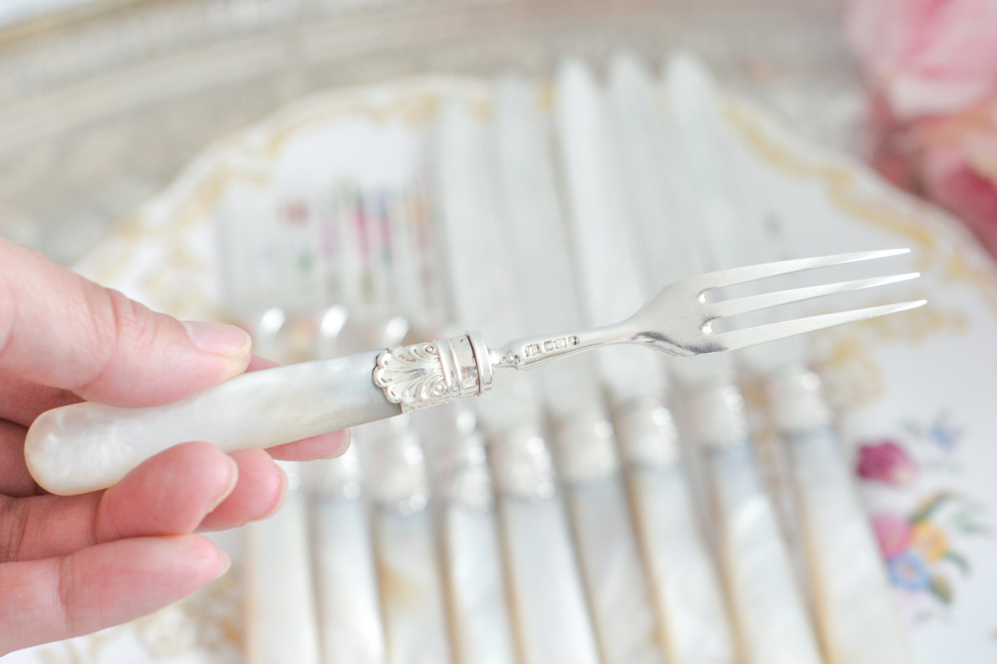 美しい純銀と白蝶貝ハンドルのデザートカトラリー。上品なデザインで純銀のブレードはキラキラと輝き、白蝶貝ハンドルは優しく輝きます。純銀&白蝶貝ハンドルのカトラリーは、やはり特別感がありますね。ティータイムを特別な時間にしてくれるカトラリーです。大きすぎないサイズ感も女性に嬉しいですね。素敵な時間をどうぞお楽しみください。