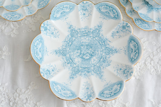 ワイルマン 貴重なパラダイスパターン ターコイズブルーが美しいプレート