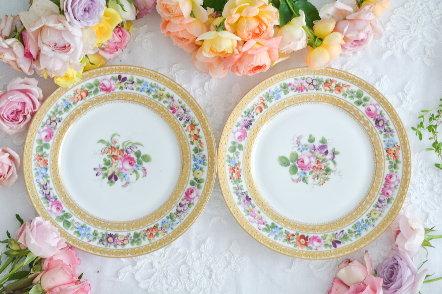 こちらのプレート達はドレスデンの工房で作られてはいますが、カール・ティーメ工房の作品ではありません。特に美しいので特集コーナーに入れさせていただきました。ハンドペイントで描かれた美しい花々に金彩の葉っぱの模様のような縁取りが豪華なお品。金盛りのドットがより花を添えています。キャビネットプレートとしても実際にお使いいただいても素敵なお品です。バックスタンプは1883年〜1893年頃に使われていた王冠マークで、いくつかの工房が集まって使用していました。バックスタンの上には金彩でお花が描かれています。