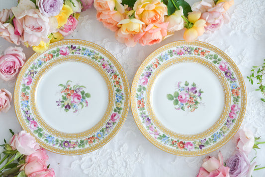 こちらのプレート達はドレスデンの工房で作られてはいますが、カール・ティーメ工房の作品ではありません。特に美しいので特集コーナーに入れさせていただきました。ハンドペイントで描かれた美しい花々に金彩の葉っぱの模様のような縁取りが豪華なお品。金盛りのドットがより花を添えています。キャビネットプレートとしても実際にお使いいただいても素敵なお品です。バックスタンプは1883年〜1893年頃に使われていた王冠マークで、いくつかの工房が集まって使用していました。バックスタンの上には金彩でお花が描かれています。