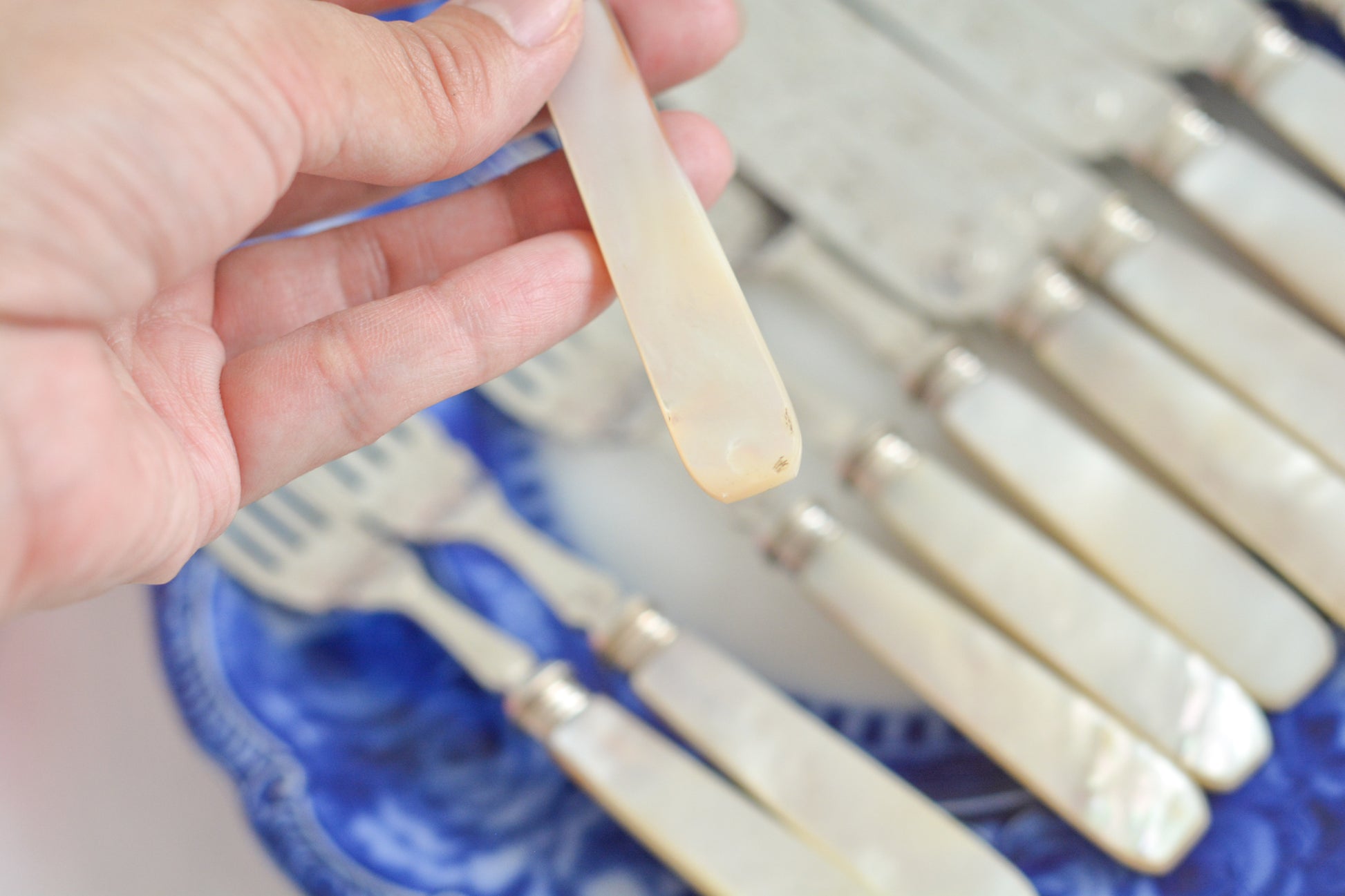 英国の人気メーカー、マッピン&ウェブの白蝶貝カトラリー。ティータイムにぴったりな丸刃のデザート(フルーツ)カトラリーです。豪華な彫刻が施されたカトラリーで、ハンドルも白蝶貝がたっぷり使われています。ハンドルは丸みがあるものが多いですが、こちらは角があるタイプでおしゃれです。白蝶貝の輝きもお楽しみいただけます。