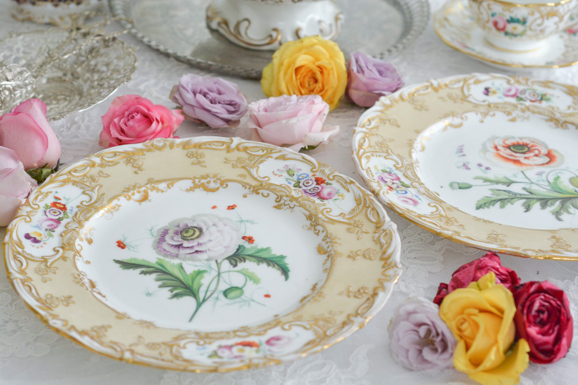 1830年代ごろに作られたキャビネットプレート。中央には大きなアネモネがハンドペイントで写実的に描かれています。装飾もロココリバイバルスタイルの豪華な模様が描かれていて、とても華やかなお品です。キャビネットプレートとして飾っていただいても、サービングプレートやランチョンプレートとしてお使いいただいても素敵だと思います。