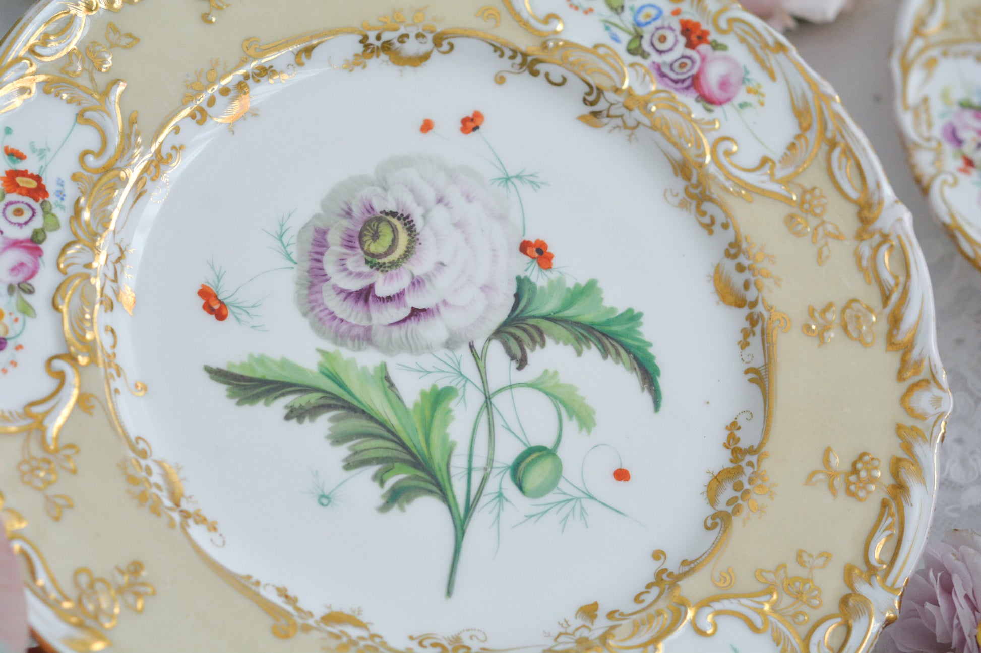 1830年代ごろに作られたキャビネットプレート。中央には大きなアネモネがハンドペイントで写実的に描かれています。装飾もロココリバイバルスタイルの豪華な模様が描かれていて、とても華やかなお品です。キャビネットプレートとして飾っていただいても、サービングプレートやランチョンプレートとしてお使いいただいても素敵だと思います。