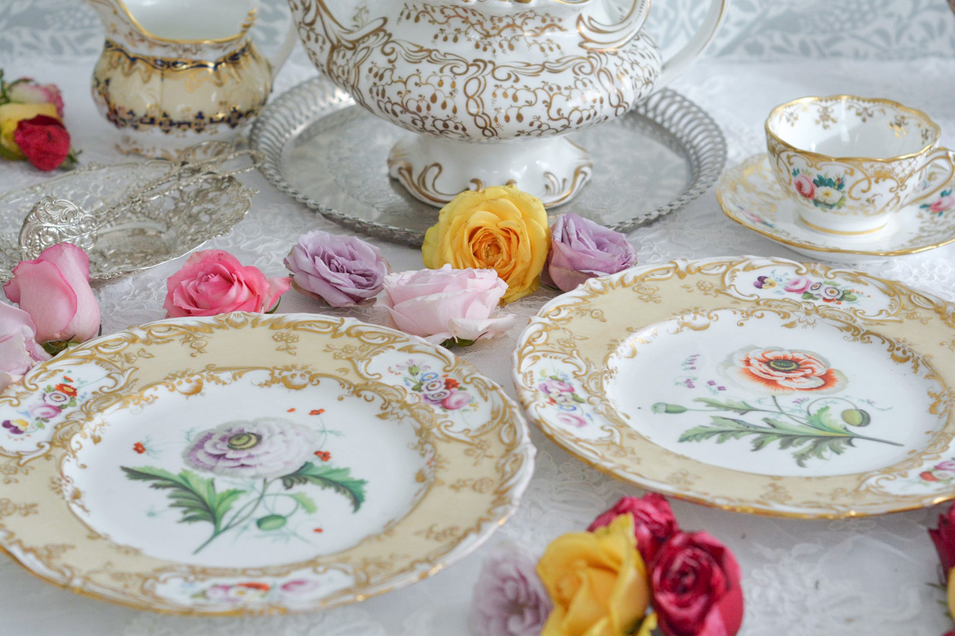 1830年代ごろに作られたキャビネットプレート。中央には大きなアネモネがハンドペイントで写実的に描かれています。装飾もロココリバイバルスタイルの豪華な模様が描かれていて、とても華やかなお品です。キャビネットプレートとして飾っていただいても、サービングプレートやランチョンプレートとしてお使いいただいても素敵だと思います。