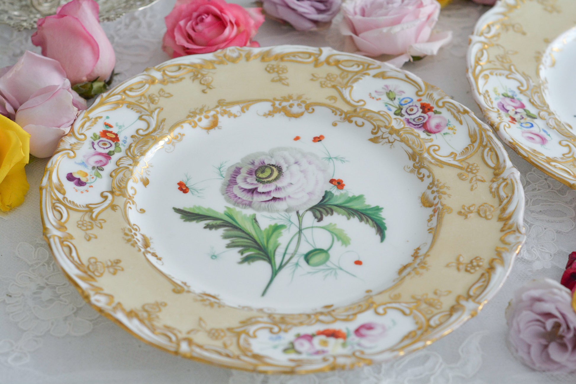 1830年代ごろに作られたキャビネットプレート。中央には大きなアネモネがハンドペイントで写実的に描かれています。装飾もロココリバイバルスタイルの豪華な模様が描かれていて、とても華やかなお品です。キャビネットプレートとして飾っていただいても、サービングプレートやランチョンプレートとしてお使いいただいても素敵だと思います。