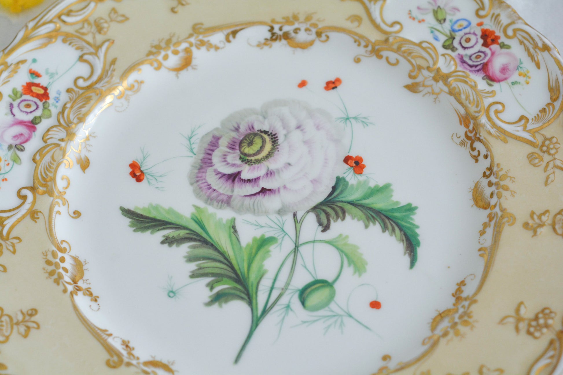 1830年代ごろに作られたキャビネットプレート。中央には大きなアネモネがハンドペイントで写実的に描かれています。装飾もロココリバイバルスタイルの豪華な模様が描かれていて、とても華やかなお品です。キャビネットプレートとして飾っていただいても、サービングプレートやランチョンプレートとしてお使いいただいても素敵だと思います。