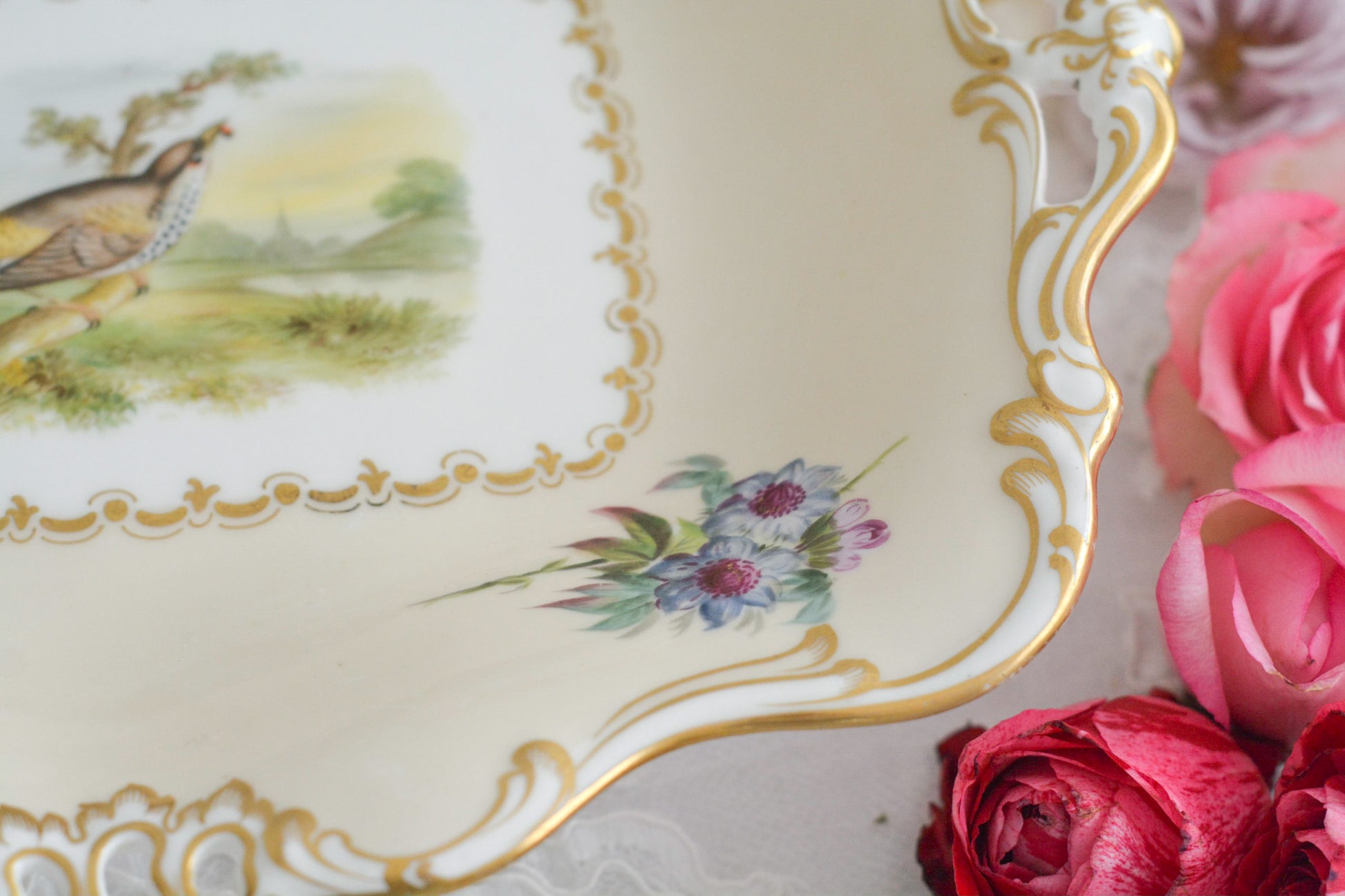 ダベンポートの素晴らしいタッツァがやってきました。お花と中央には鳥が丁寧に描かれています。描かれている鳥はイギリスでターリングと呼ばれているムクドリで、食べ物を捕まえている様子がイキイキと描かれています。イギリスのお庭にお邪魔したようなそんな気分になるタッツァです。フルーツや英国菓子をのせたくなりますね。