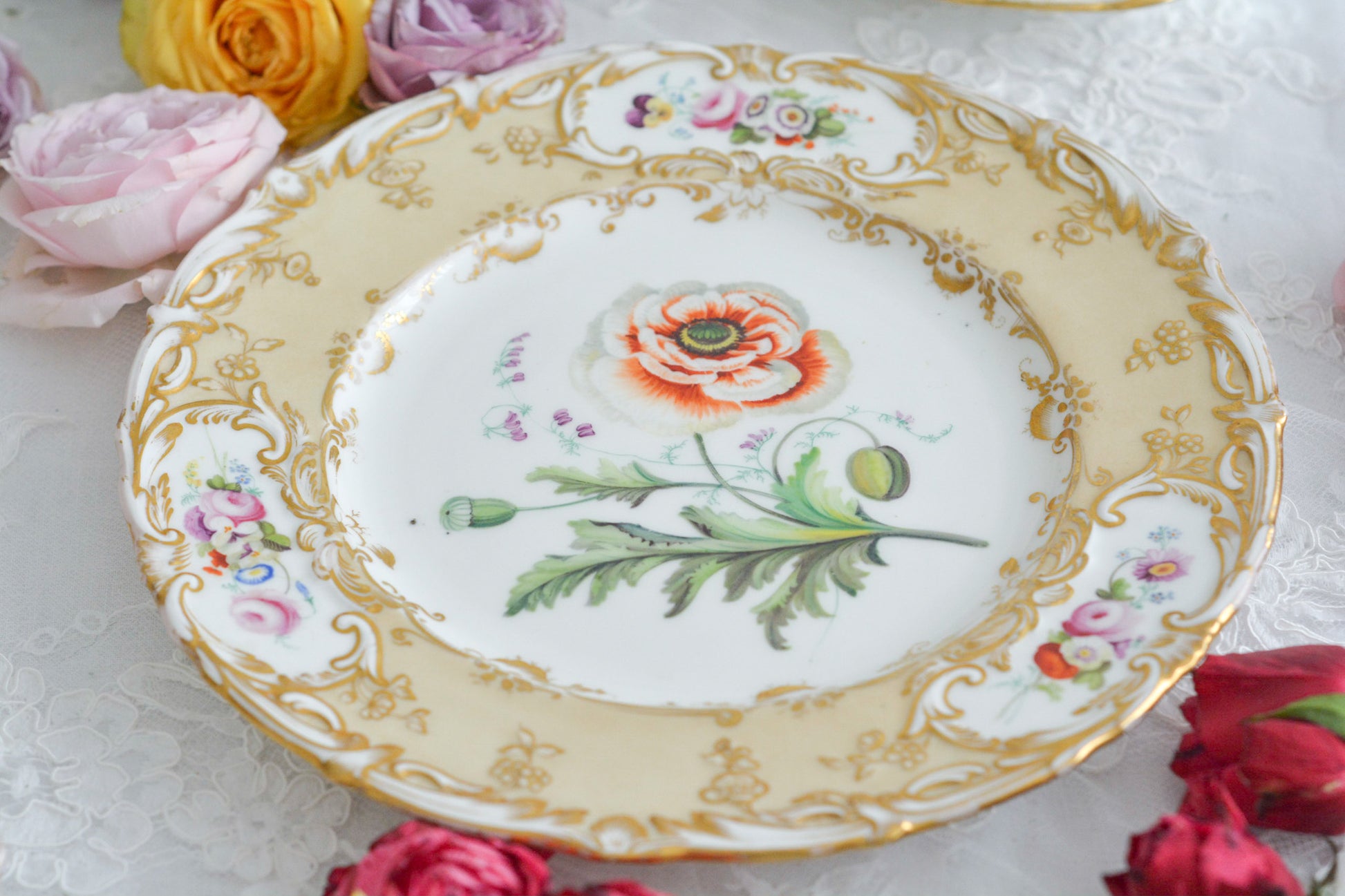 1830年代ごろに作られたキャビネットプレート。中央には大きなアネモネがハンドペイントで写実的に描かれています。装飾もロココリバイバルスタイルの豪華な模様が描かれていて、とても華やかなお品です。キャビネットプレートとして飾っていただいても、サービングプレートやランチョンプレートとしてお使いいただいても素敵だと思います。