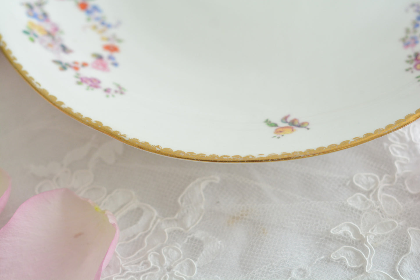 ロンドンに1825年〜1917年に営業していた「ダニエル」という小売店がオーダーしたデザートプレートです。バックスタンプはダニエルのマークのみで製造元のマークはありません。その為どのメーカーにオーダーしたのは詳細はわかりませんが、可憐な小花たちがとても美しいプレートです。ダニエルは、コールポートなどに特注品をオーダーしていたと専門書に記述があります。きっと力のあった小売店だったのだろうと思います。