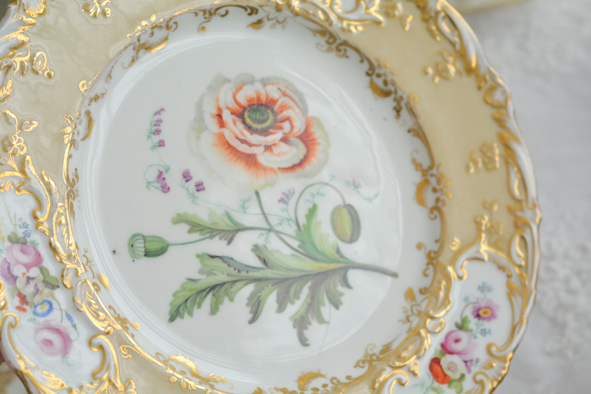 1830年代ごろに作られたキャビネットプレート。中央には大きなアネモネがハンドペイントで写実的に描かれています。装飾もロココリバイバルスタイルの豪華な模様が描かれていて、とても華やかなお品です。キャビネットプレートとして飾っていただいても、サービングプレートやランチョンプレートとしてお使いいただいても素敵だと思います。