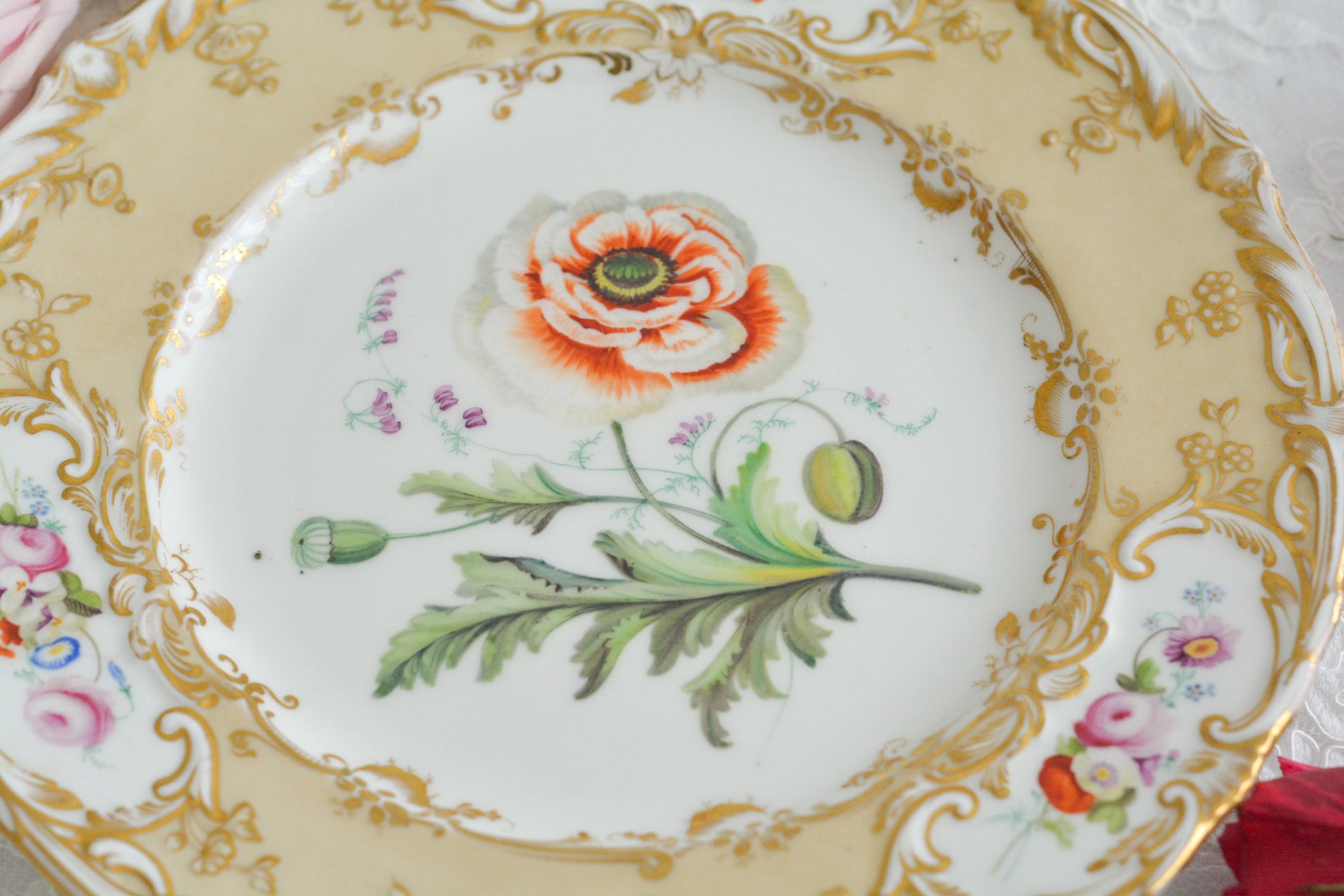 1830年代ごろに作られたキャビネットプレート。中央には大きなアネモネがハンドペイントで写実的に描かれています。装飾もロココリバイバルスタイルの豪華な模様が描かれていて、とても華やかなお品です。キャビネットプレートとして飾っていただいても、サービングプレートやランチョンプレートとしてお使いいただいても素敵だと思います。