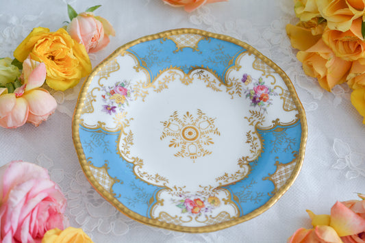 宝石のような美しさ コールポート バットウィング ターコイズブルーのサイドプレート