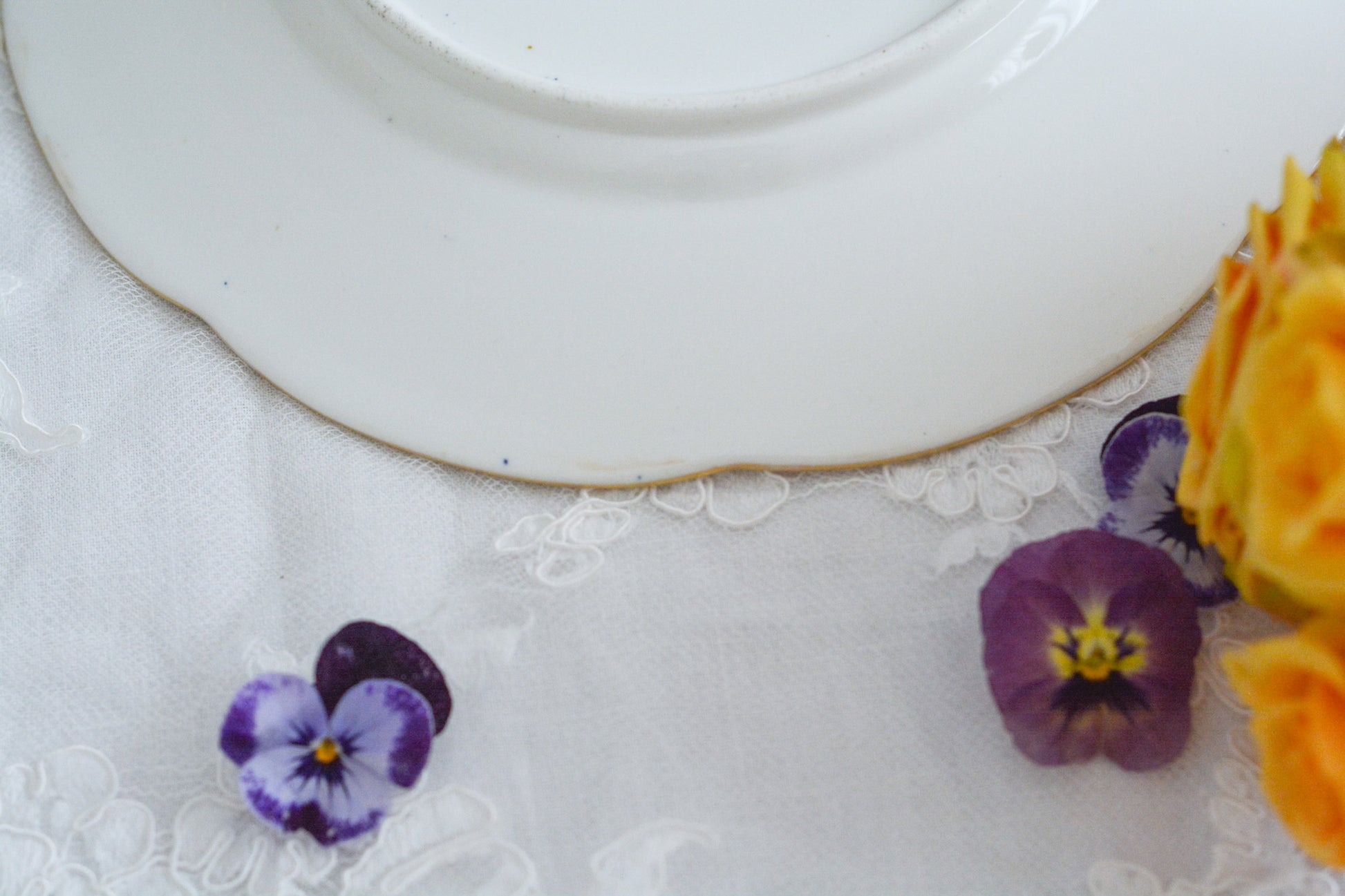 リッジウェイの素晴らしさを体感いただけるプレート。豪華絢爛という言葉がぴったりです。コバルトブルーに、金彩。エナメル画のイチゴやさくらんぼは瑞々しく描かれています。息を呑む美しさとでも言いましょうか。19世紀の素晴らしいプレートで、お茶の時間をお楽しみください。キャビネットプレートとしてお部屋に飾っていただいても素敵です。