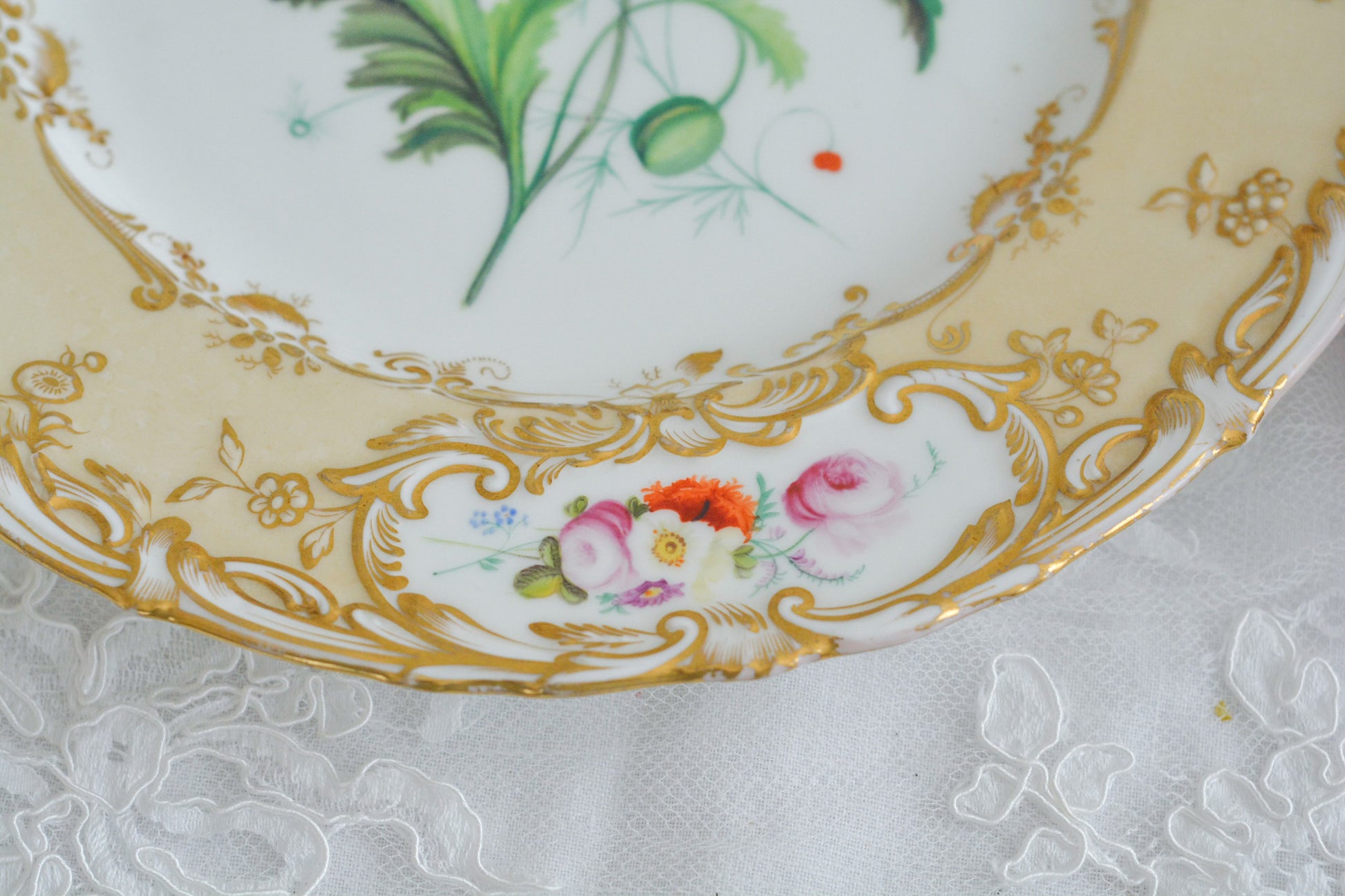 1830年代ごろに作られたキャビネットプレート。中央には大きなアネモネがハンドペイントで写実的に描かれています。装飾もロココリバイバルスタイルの豪華な模様が描かれていて、とても華やかなお品です。キャビネットプレートとして飾っていただいても、サービングプレートやランチョンプレートとしてお使いいただいても素敵だと思います。